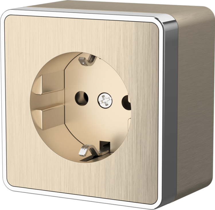 Werkel Gallant Розетка 1-ая с/з  W5071010 (WL15-02-01) шампань рифленый