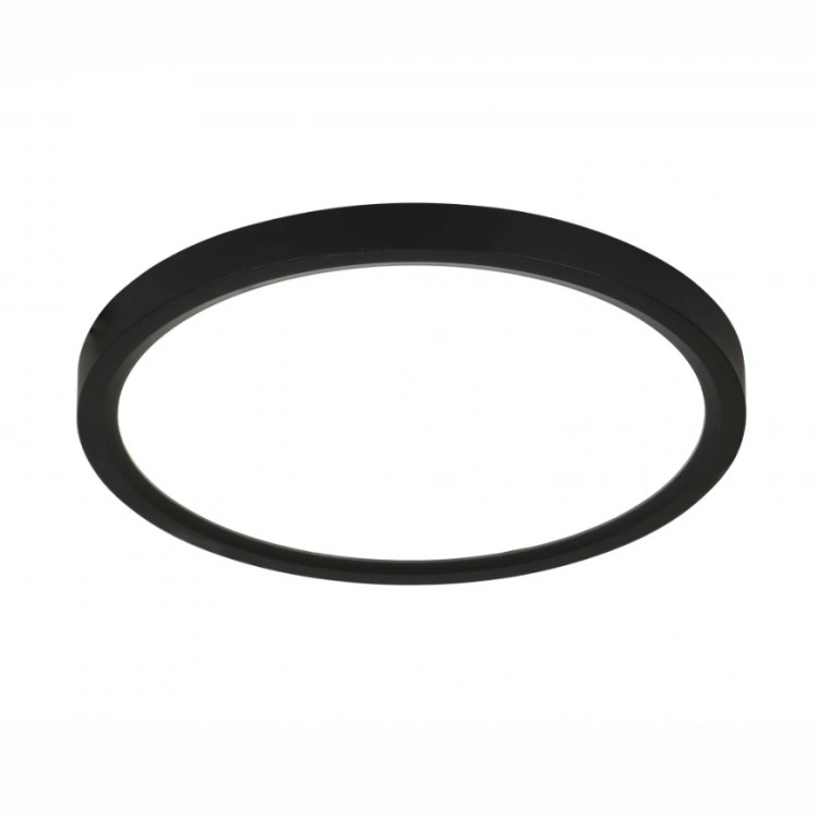 Потолочный светильник 25920/400 Black