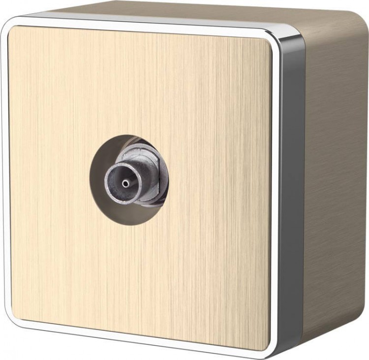 Werkel Gallant Розетка ТВ-оконечная  WL15-21-01 шампань рифленый