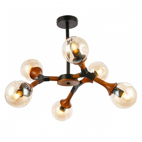 Светильник потолочный Evoluce SLE109402-06