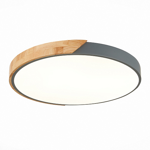 Светильник потолочный Evoluce SLE200972-01