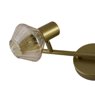 Спот ESCADA 674/2A E14*40W Gold