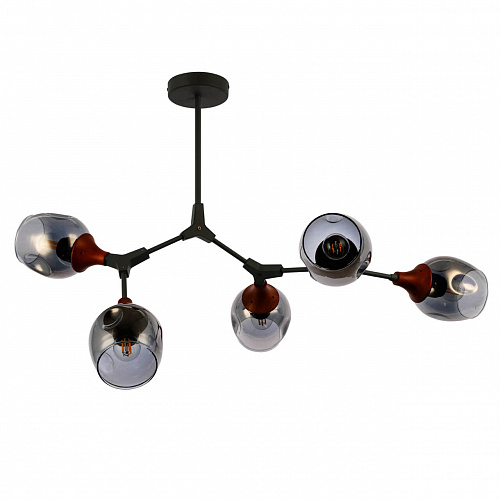 Светильник потолочный Evoluce SLE113402-05