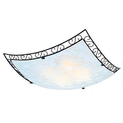 Потолочный светильник AURA  C1025-2A