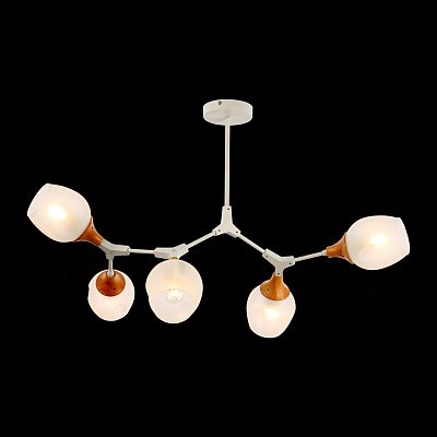 Потолочная люстра Evoluce SLE113502-05