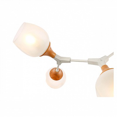 Потолочная люстра Evoluce SLE113502-05