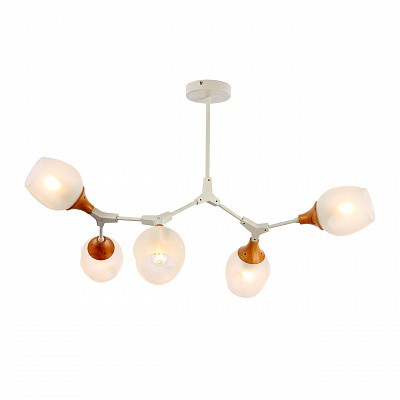 Потолочная люстра Evoluce SLE113502-05