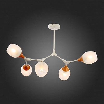 Потолочная люстра Evoluce SLE113502-05