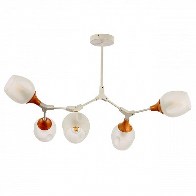 Потолочная люстра Evoluce SLE113502-05