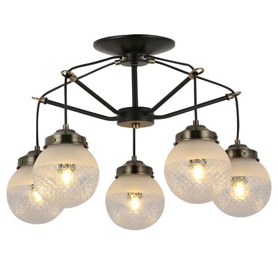 Люстра EVOLUCE SLE110302-05