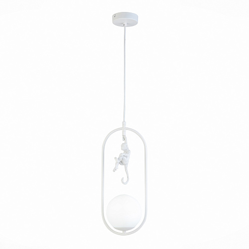 Светильник подвесной Evoluce SLE115123-01