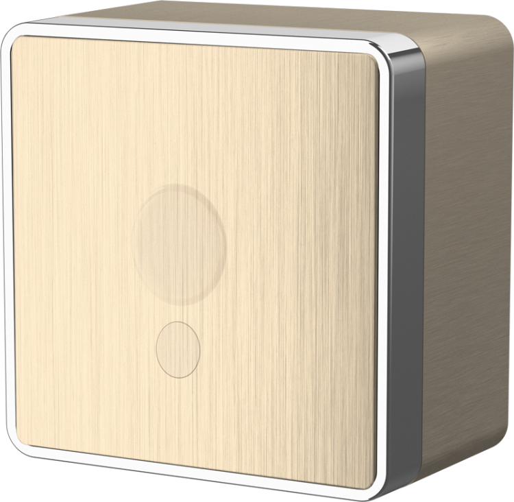 Werkel Gallant Вывод кабеля Шампань рифленый WL15-16-01