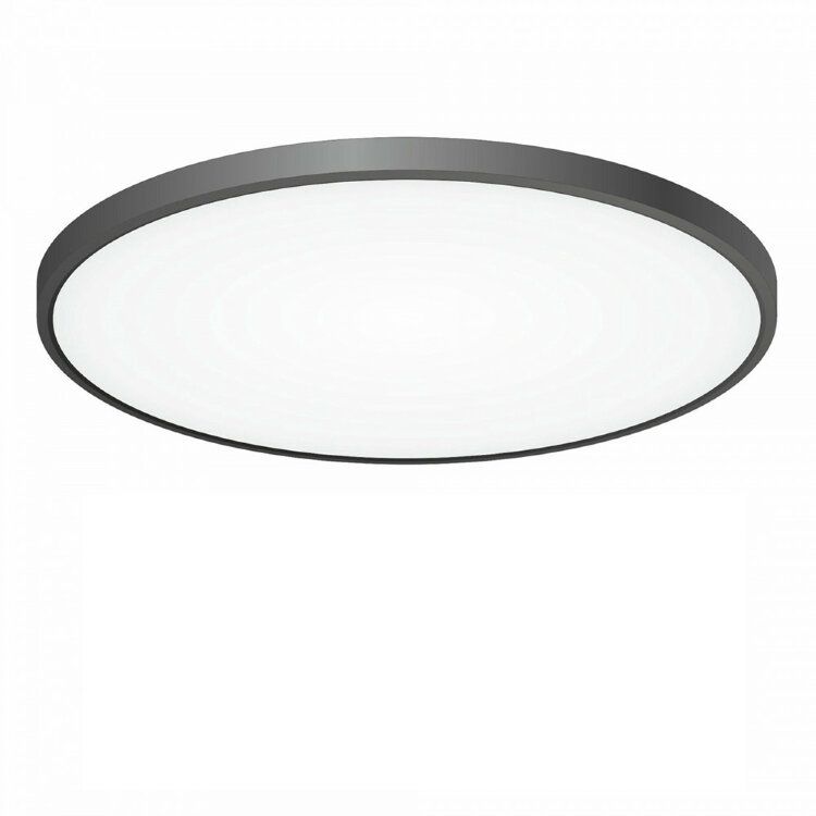 Потолочный светильник CITILUX CL738501V