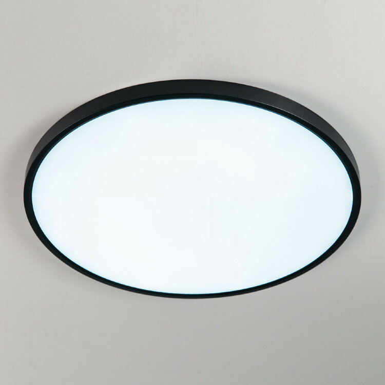 Потолочный светильник CITILUX CL738501V