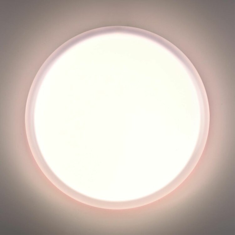 Настенно-потолочный светильник Sonex Pale Jolly 7776/ELN