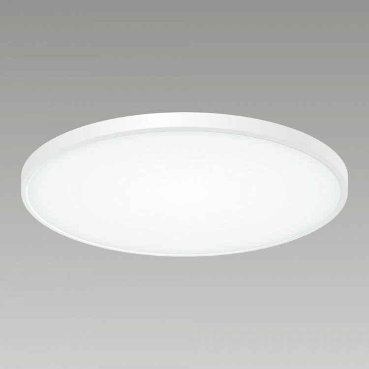 Светильник CITILUX Бейсик CL738500V Белый