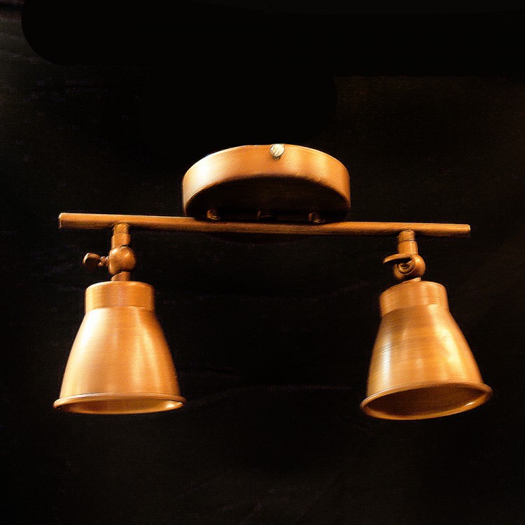 Спот AURA 11505/2 BR