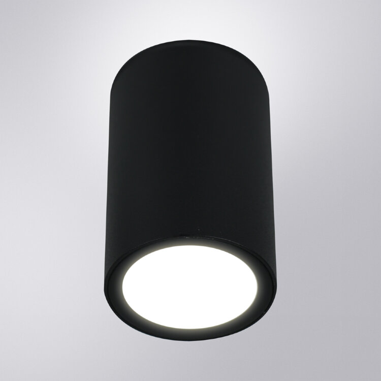 Уличный потолочный светильник Arte Lamp TORCULAR A1807PF-1BK