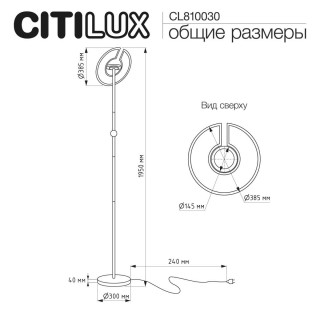 Торшер CITILUX CL810031